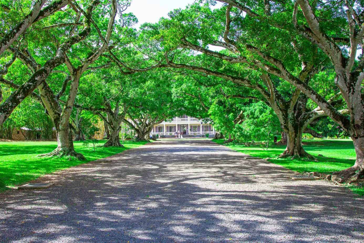 La Table de Chateau Mauritius