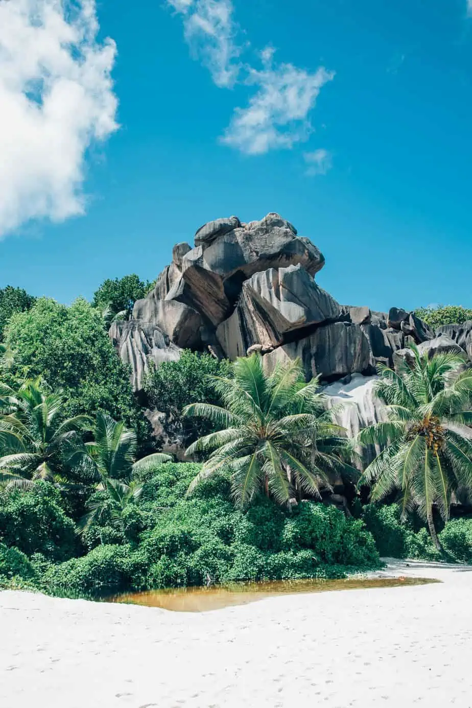 Seychelles La Digue Island Beach with Coconut Trees and Sky and Clouds