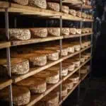 Genussbunker Cheese aged on a shelf inside the bunker