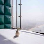 Al Muntaha's view from the Burj Al Arab overlooking the Dubai skyline with a small vase in the foreground.
